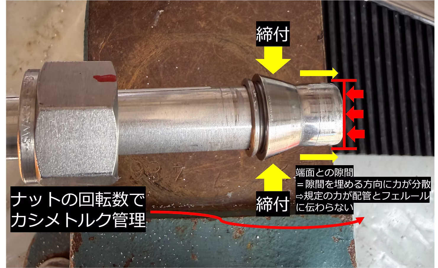 d50db5_170c26b6d42449b39ff4083e711cd7b3~mv2.png.avif
